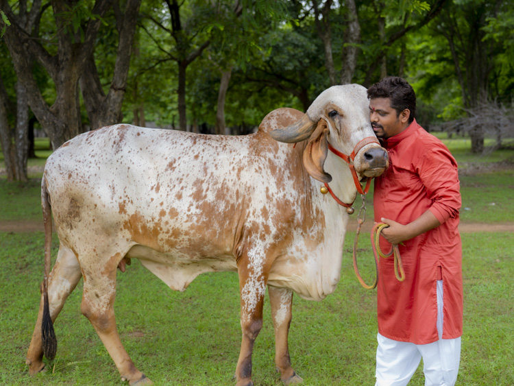 Hindu Rashtra Sangh Hindu Rashtra Sangh